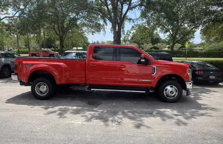 Clear Bra Protection Plantation